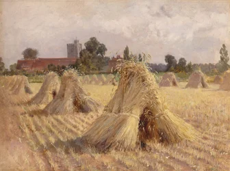 Gerbes de maïs près de l